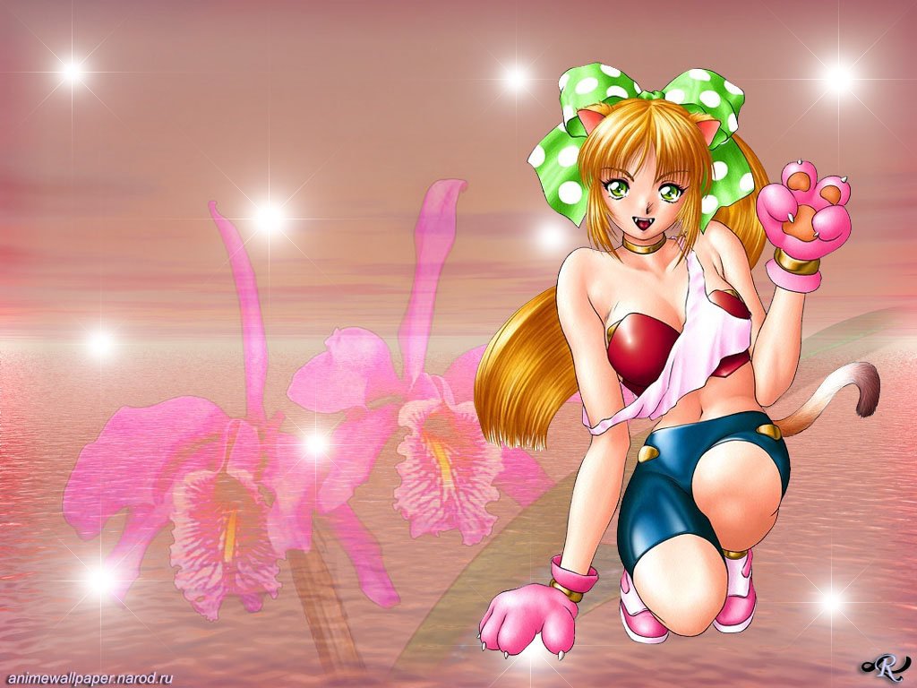 Mangas - ecc - 006